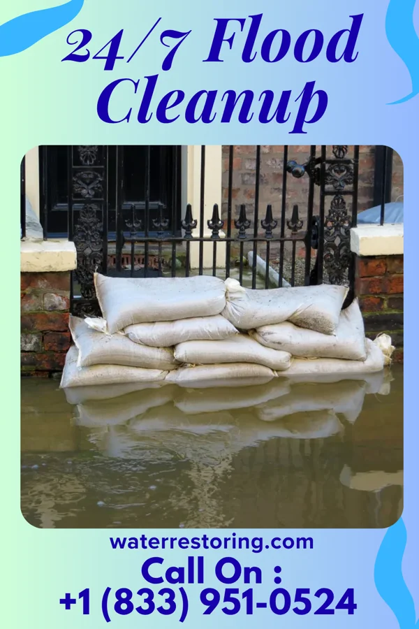 24/7 Flood Cleanup in DeRidder, LA
