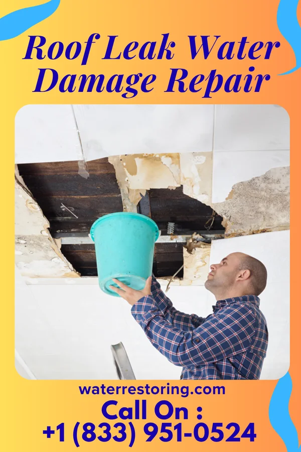 Roof Leak Water Damage Repair in DeRidder, LA